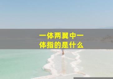 一体两翼中一体指的是什么