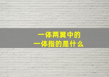 一体两翼中的一体指的是什么