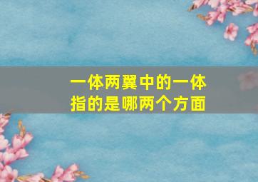 一体两翼中的一体指的是哪两个方面