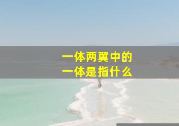 一体两翼中的一体是指什么