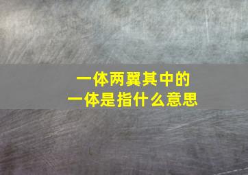 一体两翼其中的一体是指什么意思