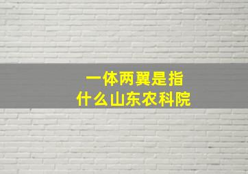 一体两翼是指什么山东农科院