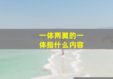 一体两翼的一体指什么内容