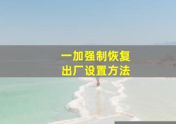 一加强制恢复出厂设置方法