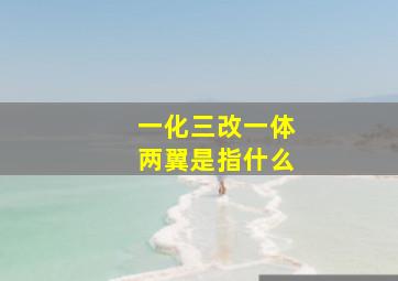 一化三改一体两翼是指什么