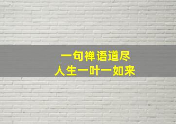 一句禅语道尽人生一叶一如来