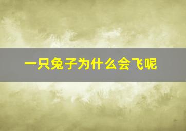 一只兔子为什么会飞呢