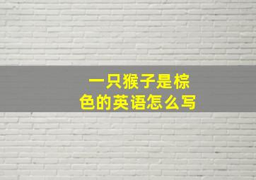 一只猴子是棕色的英语怎么写