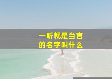 一听就是当官的名字叫什么