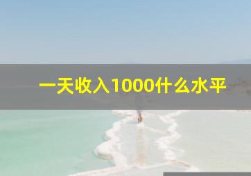 一天收入1000什么水平