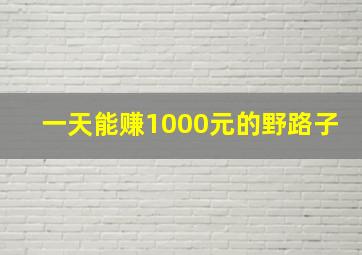 一天能赚1000元的野路子