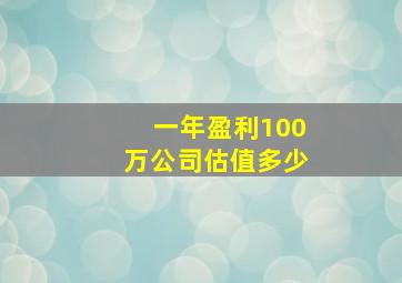 一年盈利100万公司估值多少