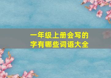 一年级上册会写的字有哪些词语大全