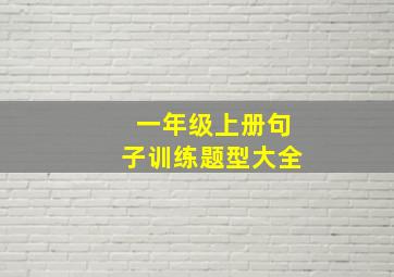 一年级上册句子训练题型大全