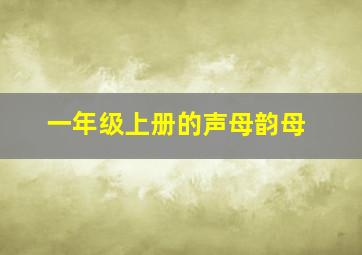 一年级上册的声母韵母