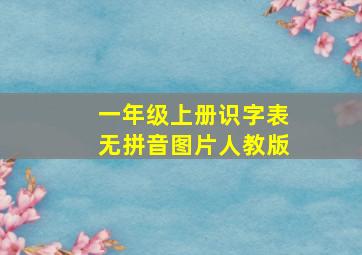 一年级上册识字表无拼音图片人教版