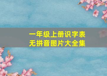 一年级上册识字表无拼音图片大全集