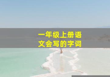 一年级上册语文会写的字词