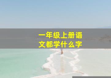 一年级上册语文都学什么字