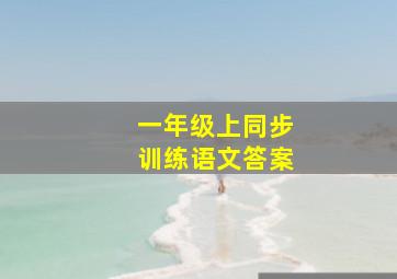 一年级上同步训练语文答案