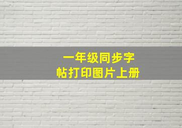 一年级同步字帖打印图片上册