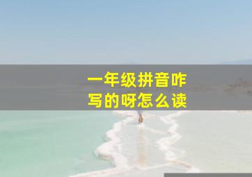 一年级拼音咋写的呀怎么读