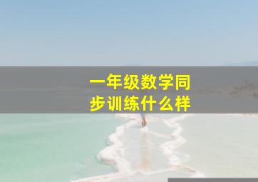 一年级数学同步训练什么样