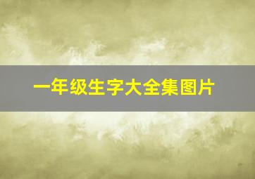 一年级生字大全集图片