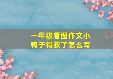 一年级看图作文小鸭子得救了怎么写