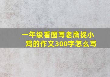 一年级看图写老鹰捉小鸡的作文300字怎么写