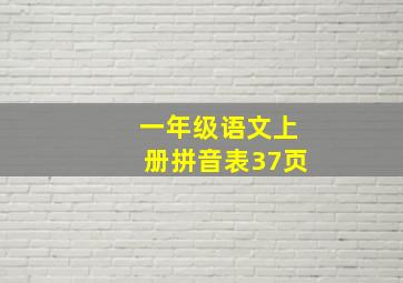 一年级语文上册拼音表37页