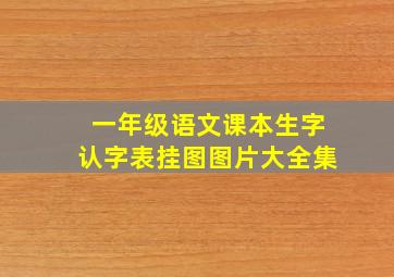 一年级语文课本生字认字表挂图图片大全集