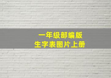 一年级部编版生字表图片上册