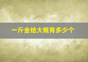 一斤金桔大概有多少个