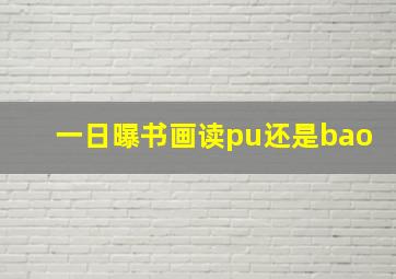 一日曝书画读pu还是bao