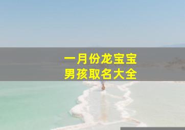 一月份龙宝宝男孩取名大全