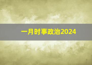 一月时事政治2024