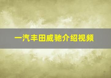 一汽丰田威驰介绍视频