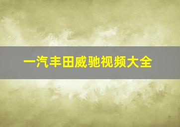 一汽丰田威驰视频大全