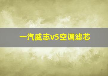 一汽威志v5空调滤芯