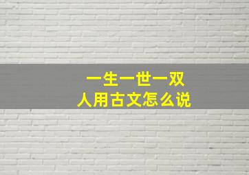 一生一世一双人用古文怎么说