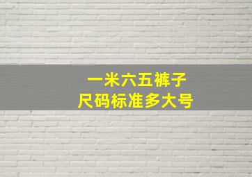 一米六五裤子尺码标准多大号