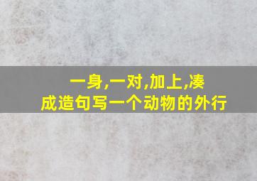 一身,一对,加上,凑成造句写一个动物的外行