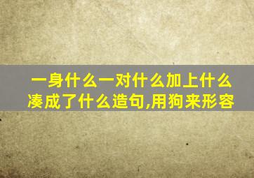 一身什么一对什么加上什么凑成了什么造句,用狗来形容