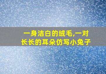 一身洁白的绒毛,一对长长的耳朵仿写小兔子