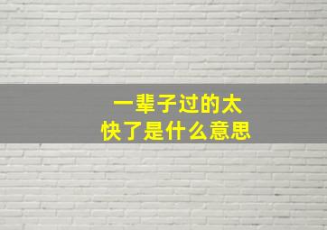 一辈子过的太快了是什么意思