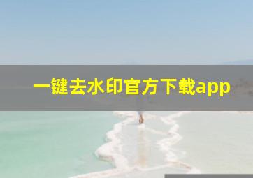 一键去水印官方下载app