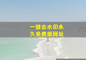 一键去水印永久免费版网址