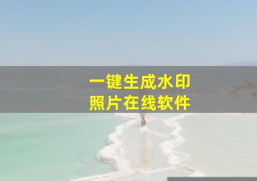 一键生成水印照片在线软件