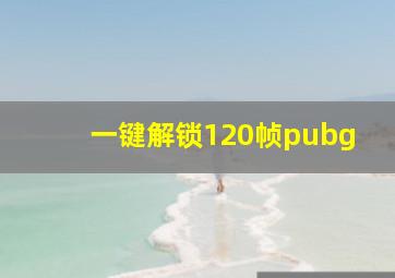 一键解锁120帧pubg